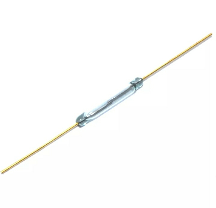 Magnetic Reed switch